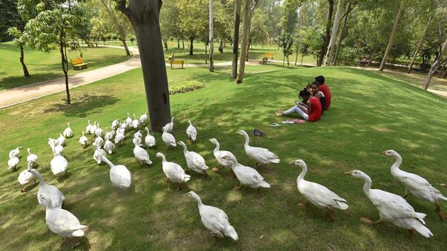 Delhi Development Authority has completed first phase of Sanjay Lake redevelopment.(Raj K Raj/HT Photo)