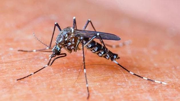 State government had provided facility of vaccination in every hospital.