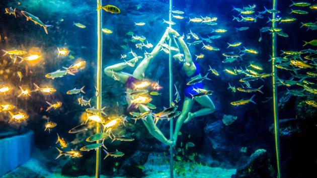 Two women perform underwater pole dancing for visitors at the Zuohai Underwater World in Fuzhou, in China's Fujian Province. (AFP) Two women perform underwater pole dancing for visitors at the Zuohai Underwater World in Fuzhou, in China's Fujian Province. (AFP)
