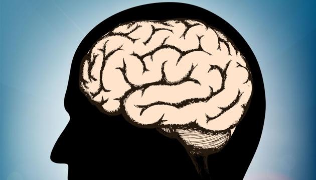 The discovery could help in treating or preventing various brain diseases.(Shutterstock)