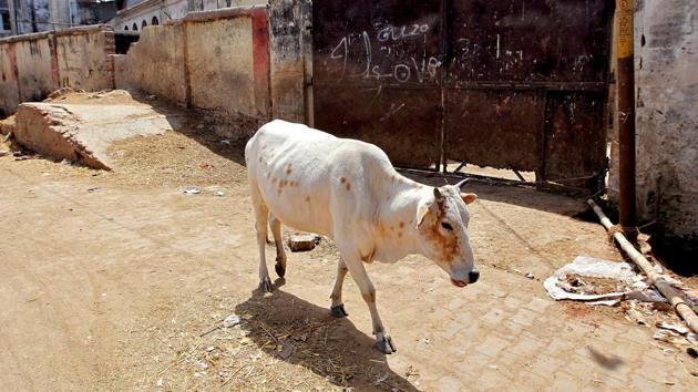 Representative image(Reuters File Photo) Representative image(Reuters File Photo)