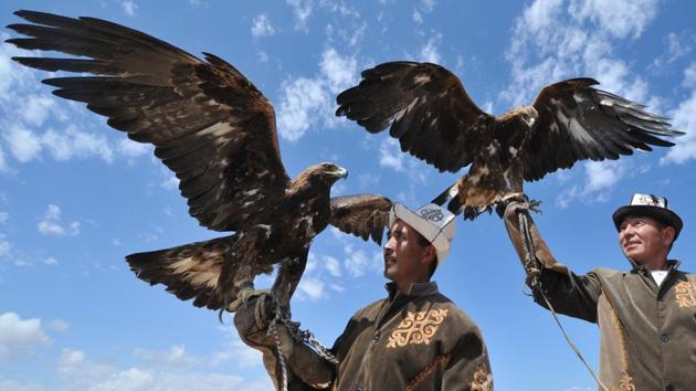 Kyrgyz berkutchy (eagle hunters) launch their Golden Eagles at the 'Ethno Fest'. The use of eagles to hunt land prey is a time-old tradition observed across the Central Asian steppes. (Vyacheslav Oseledko / AFP) Kyrgyz berkutchy (eagle hunters) launch their Golden Eagles at the 'Ethno Fest'. The use of eagles to hunt land prey is a time-old tradition observed across the Central Asian steppes. (Vyacheslav Oseledko / AFP)