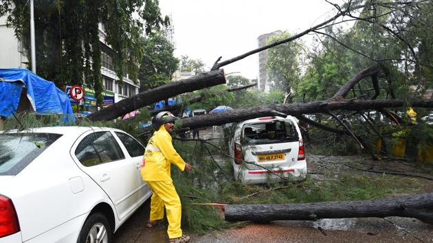 A tree collapse was reported at Bandra on Monday. (Vijayanand Gupta/HT Photo) 