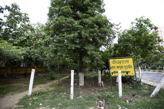 The site in Sector 52 where the butterfly park will come up over 19 acres. (Sanjeev Verma/HT PHOTO) The site in Sector 52 where the butterfly park will come up over 19 acres. (Sanjeev Verma/HT PHOTO)