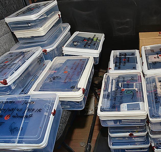 The crime branch on Tuesday arrested eight members of a IMEI changing gang and also recovered 779 mobiles from their possession. (Sakib Ali/HT Photo) The crime branch on Tuesday arrested eight members of a IMEI changing gang and also recovered 779 mobiles from their possession. (Sakib Ali/HT Photo)