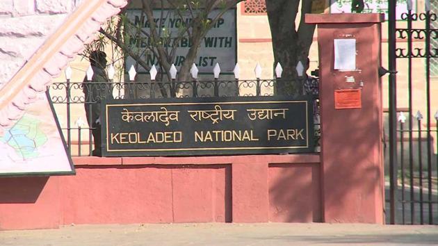 Keoladeo National Park was established as a national park on in 1982 .(HT Photo) Keoladeo National Park was established as a national park on in 1982 .(HT Photo)