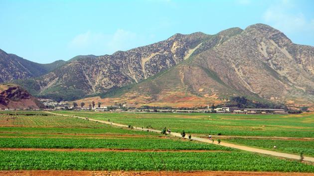 Rice fields in North Korean countryside (Shutterstock) Rice fields in North Korean countryside (Shutterstock)