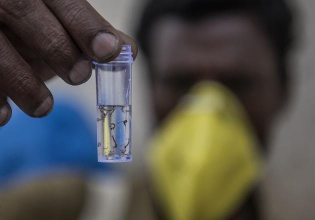 Between June 1 to July 15, 59 patients who tested positive for dengue were treated at various city hospitals(HT file)