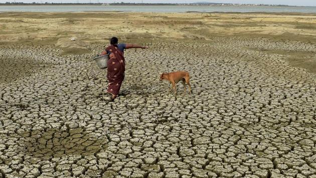 The drought — exacerbated after Tamil Nadu received the lowest rainfall in 140 years — has led to widespread protests (PTI) The drought — exacerbated after Tamil Nadu received the lowest rainfall in 140 years — has led to widespread protests (PTI)