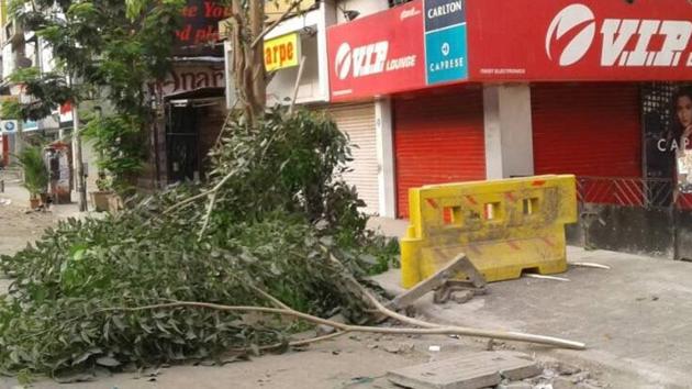 One of the eight trees cut at Linking Road in May. (HT) One of the eight trees cut at Linking Road in May. (HT)