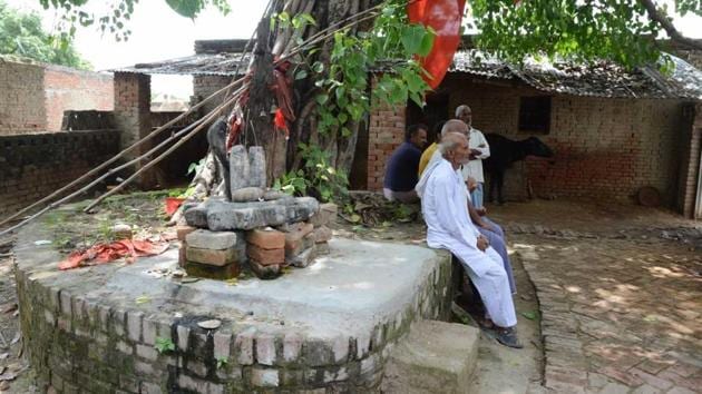 The school today has a Shiv temple under the tree and locals used the rest of the space to tie their buffalos. (HT Photo) The school today has a Shiv temple under the tree and locals used the rest of the space to tie their buffalos. (HT Photo)