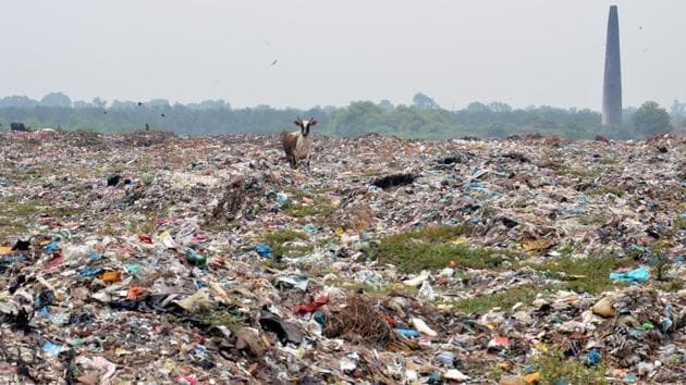The row over the dump has been going on since long as it is located in residential area and adjoining a grain market, causing health hazards. (HT Photo) The row over the dump has been going on since long as it is located in residential area and adjoining a grain market, causing health hazards. (HT Photo)