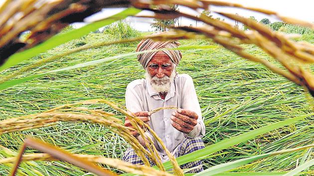 According to the state government proposal, it planned to own up (take liability for) Rs 9,500-crore loans and the banks were to paid in four-five instalments. (Representative image) According to the state government proposal, it planned to own up (take liability for) Rs 9,500-crore loans and the banks were to paid in four-five instalments. (Representative image)