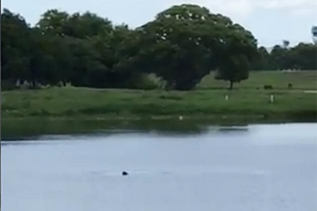 A still from a video five teenagers made as Jamel Dunn, 31, drowned in a pond. (NYT) A still from a video five teenagers made as Jamel Dunn, 31, drowned in a pond. (NYT)