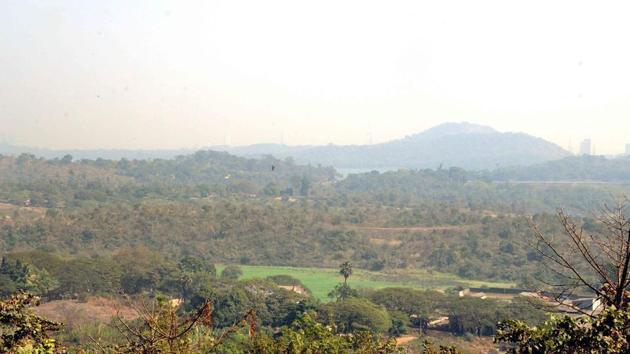 here is a proposal to build a car-shed for Metro 3 over 33 hectares of Aarey. (HT File Photo) here is a proposal to build a car-shed for Metro 3 over 33 hectares of Aarey. (HT File Photo)