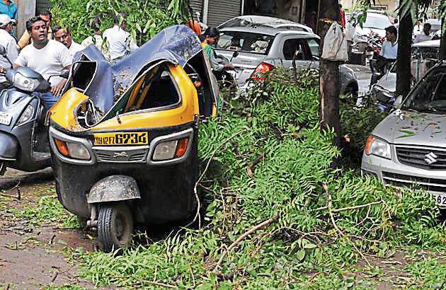 A tree fall on Auto rickshaw, distroying it, after heavy heavy rain in Pune over the weekend. (HT PHOTO) A tree fall on Auto rickshaw, distroying it, after heavy heavy rain in Pune over the weekend. (HT PHOTO)