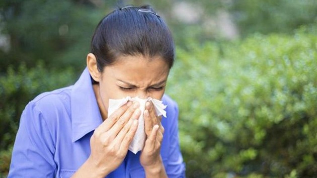 So far, six cases of swine flu have been reported in the Chandigarh and one death was also reported three days back. (Representational Photo) So far, six cases of swine flu have been reported in the Chandigarh and one death was also reported three days back. (Representational Photo)