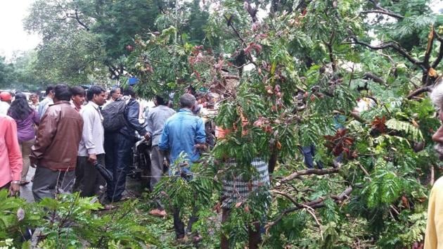 The fire brigade team of the Kalyan Dombivli Municipal Corporation (KDMC) cleared the branches. (HT) The fire brigade team of the Kalyan Dombivli Municipal Corporation (KDMC) cleared the branches. (HT)