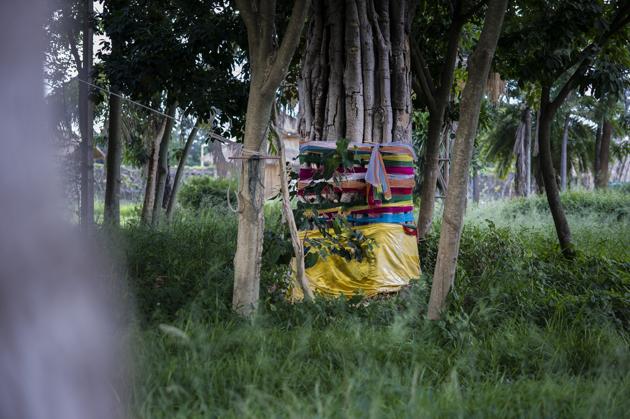 The Madhya Pradesh government is targeting the Gond and Baiga tribes to end superstition among their communities. (Representative Photo) The Madhya Pradesh government is targeting the Gond and Baiga tribes to end superstition among their communities. (Representative Photo)
