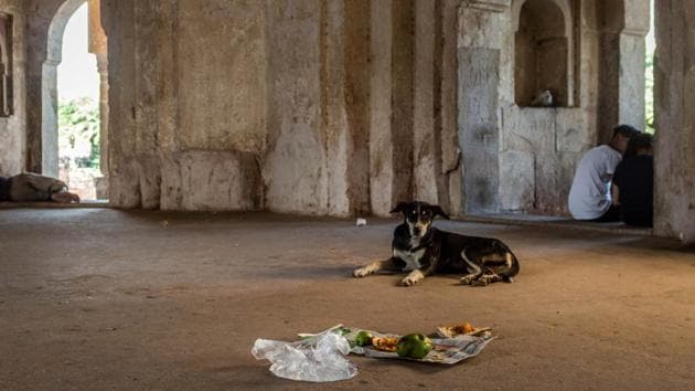 At Adham Khan’s tomb, one finds locals walking about its hallways, children playing in the courtyard, groups engaged in card games, people napping, stray animals and even young couples tucked away in its many corridors. (Abhirup Biswas / HT Photo)