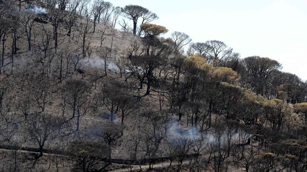 Tourists in 1,000 camping plots were forced to flee, according to Lisa Minot, The Sun’s travel editor, who was at the scene. (Valery HACHE / AFP) Tourists in 1,000 camping plots were forced to flee, according to Lisa Minot, The Sun’s travel editor, who was at the scene. (Valery HACHE / AFP)