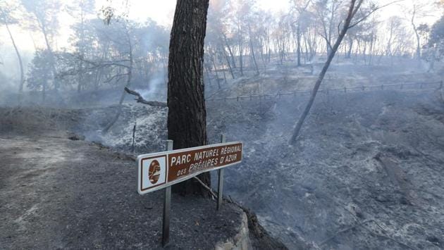 Photos: France forest fire forces evacuation of thousands | Hindustan Times