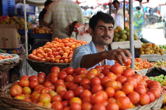 Though the price of tomatoes in some areas dipped by ₹10 on Wednesday, in most areas of the city the kitchen staple cost ₹90-₹100 per kg. (Parveen Kumar/HT PHOTO) Though the price of tomatoes in some areas dipped by ₹10 on Wednesday, in most areas of the city the kitchen staple cost ₹90-₹100 per kg. (Parveen Kumar/HT PHOTO)