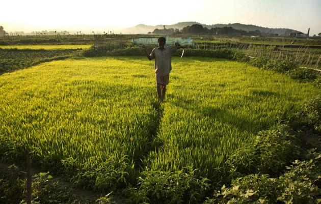 NABARD became the first Indian entity to get direct access entity status allowing to access Green Climate Fund easily.(AP Photo/ Anupam Nath)