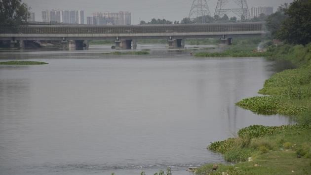 Officials have been asked to get in touch with gram pradhans, villagers and cultivators in villages located near the river zone and encourage them to participate in the drive. (Sakib Ali/HT Photo) Officials have been asked to get in touch with gram pradhans, villagers and cultivators in villages located near the river zone and encourage them to participate in the drive. (Sakib Ali/HT Photo)