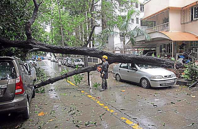 Mangled remains of a car after a tree fell on it at Panchpakhadi, Thane, on July 14.(Praful Gangurde)