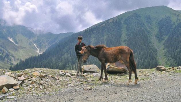 A boy poses with his pony on Bandipora- Gurez road. (Waseem Andrabi / HT Photo) A boy poses with his pony on Bandipora- Gurez road. (Waseem Andrabi / HT Photo)