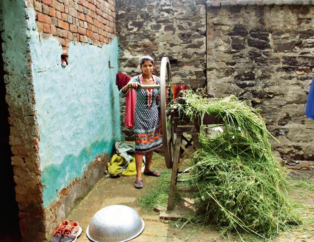 Sarita, a student of class 12, who studied in village Kanwali got herself enrolled in Gothra school after news spread that the school was upgraded.(Leena Dhankhar)