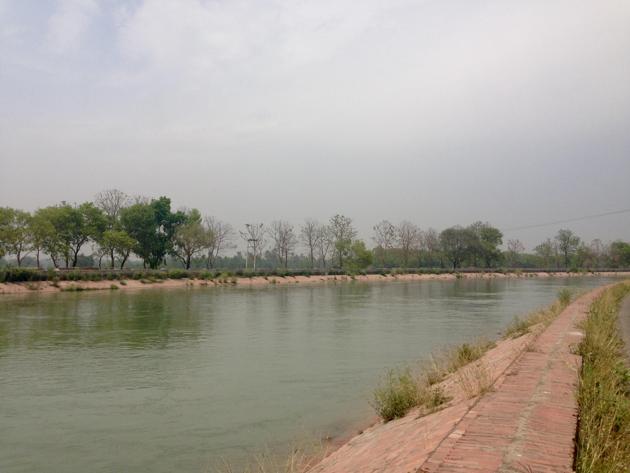 The Ganga river canal near Haridwar, Uttarakhand.(Malavika Vyawahare/ Hindustan TImes)