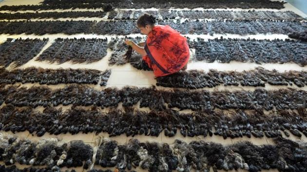 An Indian worker sorts and arranges human hair according to its length and texture at Raj Hair International's processing centre in Alinjivakkam, on the outskirts of Chennai. India has long been the world's biggest exporter of human hair -- in money terms -- and businesses say the country earns several hundred million dollars a year from its high quality locks. (Arun Sankar / AFP) An Indian worker sorts and arranges human hair according to its length and texture at Raj Hair International's processing centre in Alinjivakkam, on the outskirts of Chennai. India has long been the world's biggest exporter of human hair -- in money terms -- and businesses say the country earns several hundred million dollars a year from its high quality locks. (Arun Sankar / AFP)