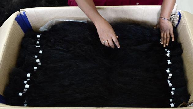 A worker packs sorted hair into a container for extort to its intended markers at a processing plant. Hair sheared straight from the scalp of a single donor fetches a higher sum for its source integrity and is often braided by temple attendants to make processing at later stages more efficient. Lower quality hair called comb waste is also collected from barbershops and donation drives in villages. (Arun Sankar / AFP) A worker packs sorted hair into a container for extort to its intended markers at a processing plant. Hair sheared straight from the scalp of a single donor fetches a higher sum for its source integrity and is often braided by temple attendants to make processing at later stages more efficient. Lower quality hair called comb waste is also collected from barbershops and donation drives in villages. (Arun Sankar / AFP)