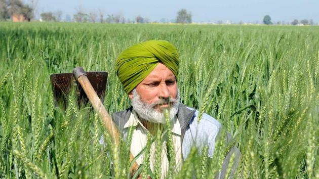 On Monday and Tuesday, members of the panel visited Amritsar and Ludhiana to meet farmers and know their side of story. (HT File Photo) On Monday and Tuesday, members of the panel visited Amritsar and Ludhiana to meet farmers and know their side of story. (HT File Photo)