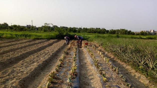 Minister of state for finance Santosh Kumar Gangwar says the law is a major step towards doubling farmers’ income by 2022. (File) Minister of state for finance Santosh Kumar Gangwar says the law is a major step towards doubling farmers’ income by 2022. (File)