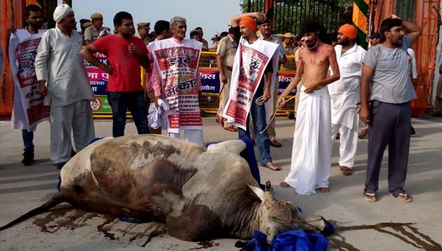 Gopal Das (bare-chested) with the bull carcass in Rohtak on Thursday.(Manoj Dhaka/HT) Gopal Das (bare-chested) with the bull carcass in Rohtak on Thursday.(Manoj Dhaka/HT)