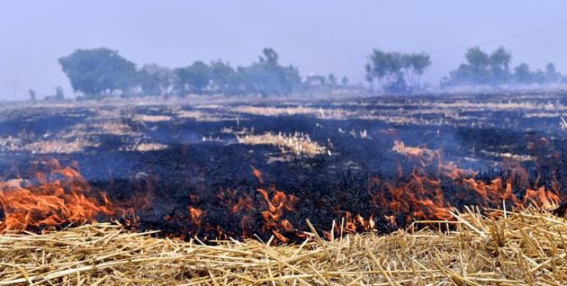 Pollution levels in Delhi shoot up in September-October primarily because of stubble burning in Punjab and Haryana.(Gurpreet Singh/HT Photo)