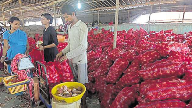 Wholesale markets are selling onions at Rs20-Rs26 a kg. (Bachchan Kumar) Wholesale markets are selling onions at Rs20-Rs26 a kg. (Bachchan Kumar)