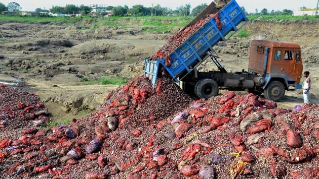 A dumper dumps rotten onions at a ditch on the outskirts of Bhopal on Monday. (PTI) A dumper dumps rotten onions at a ditch on the outskirts of Bhopal on Monday. (PTI)