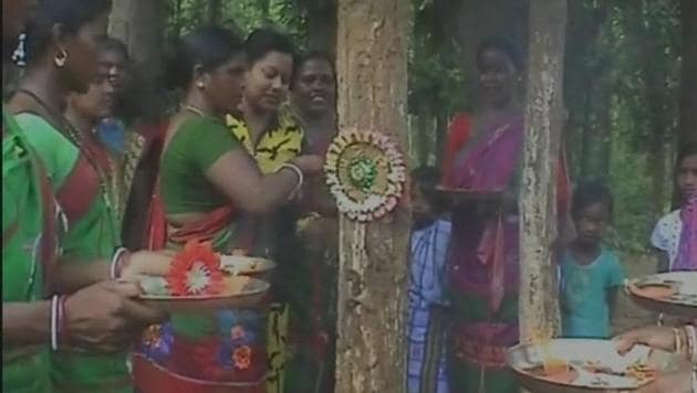 Tribal women tie rakhis on trees. (ANI Photo) Tribal women tie rakhis on trees. (ANI Photo)
