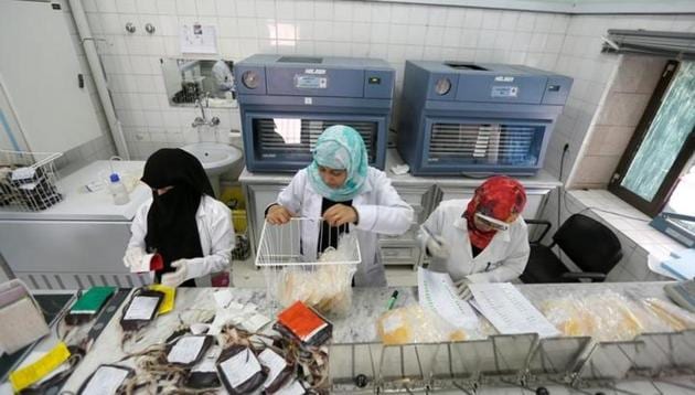 Employees register bags of blood at a blood transfusion centre in Sanaa, Yemen August 7, 2017. (Reuters Photo) Employees register bags of blood at a blood transfusion centre in Sanaa, Yemen August 7, 2017. (Reuters Photo)