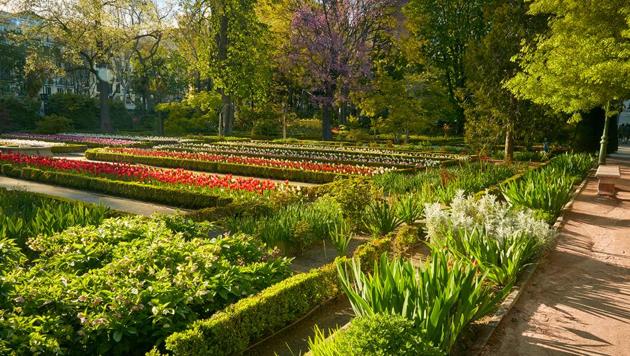 At the end of the 19th century, the garden lost two of its 10 hectares to the Ministry of Agriculture and 564 of its trees to a cyclone. (AFP) At the end of the 19th century, the garden lost two of its 10 hectares to the Ministry of Agriculture and 564 of its trees to a cyclone. (AFP)