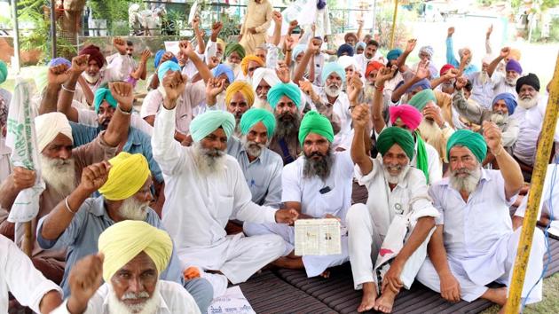Farmers said that the report includes suggestions for the welfare of farmers but government is hesitant to implement the report. (HT Photo) Farmers said that the report includes suggestions for the welfare of farmers but government is hesitant to implement the report. (HT Photo)