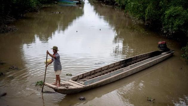 The shrimp bonanza began in the 1990s with rising sea-levels drawing saltwater into the Mekong Delta. Savvy locals were swift to spot that changing conditions were ripe for shrimp farming, sowing the seeds of the industry. Growth has surged in parallel with demand from the US and EU. (Roberto Schmidt / AFP) The shrimp bonanza began in the 1990s with rising sea-levels drawing saltwater into the Mekong Delta. Savvy locals were swift to spot that changing conditions were ripe for shrimp farming, sowing the seeds of the industry. Growth has surged in parallel with demand from the US and EU. (Roberto Schmidt / AFP)