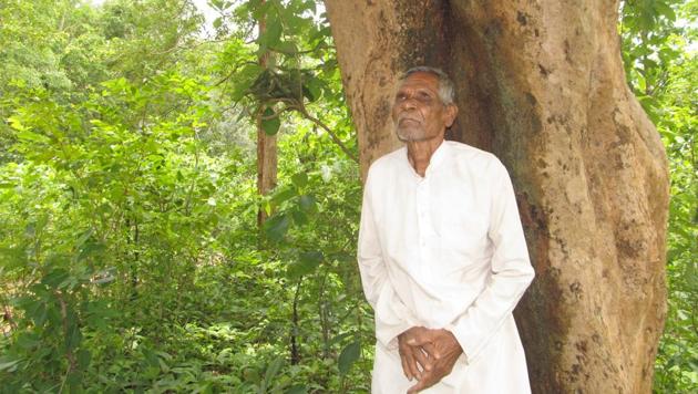 Forest officials say the work by Majhi and local tribals in Kalahandi is an important step in guarding the forest resources. (HT Photo) Forest officials say the work by Majhi and local tribals in Kalahandi is an important step in guarding the forest resources. (HT Photo)