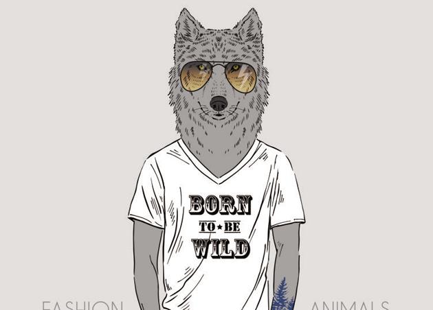 Ain’t I cool?(Shutterstock) Ain’t I cool?(Shutterstock)