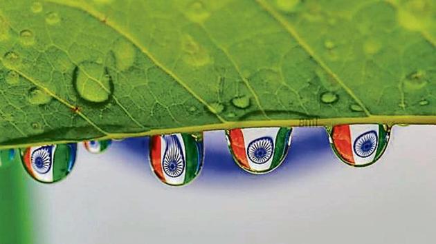 The Tricolour’s reflection in raindrops on a leaf (Ami Prabal) The Tricolour’s reflection in raindrops on a leaf (Ami Prabal)