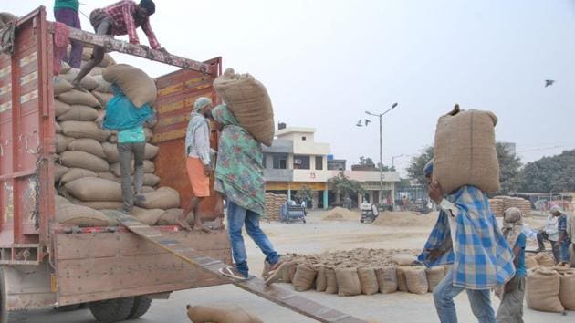 Labourers loading paddy onto a truck at Bhagtanwala grain market in Amritsar in October last year. (HT File Photo) Labourers loading paddy onto a truck at Bhagtanwala grain market in Amritsar in October last year. (HT File Photo)